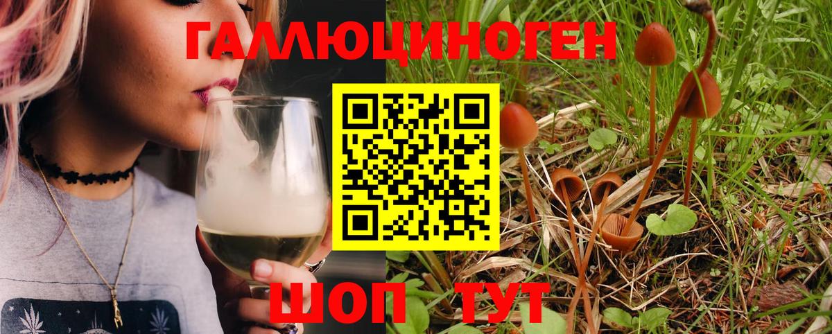 Галлюциногенные грибы Magic Shrooms  купить   Галлюциногенные грибы Magic Shrooms  Зеленодольск  Вход с VPN 